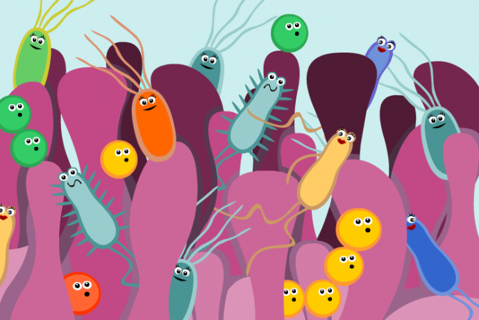 L’essere umano e il Microbiota Intestinale